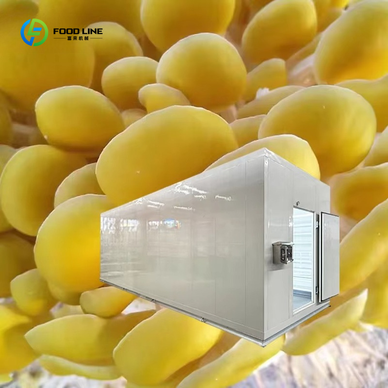 Smart Mushroom Growing Capsule - Smart Farming Technology In Agriculture recension och pris