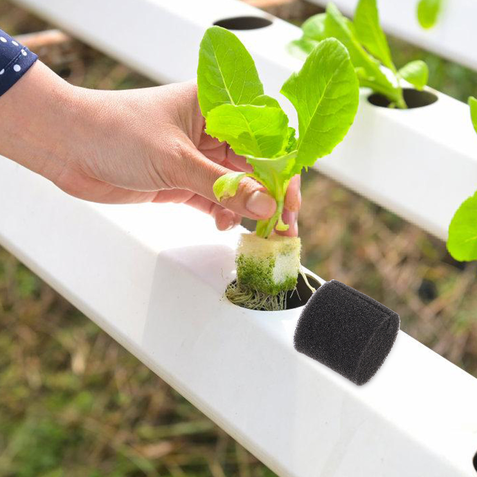 100Pcs Hydroponic Sponge Growi - Vegetable Transplanter recension och pris