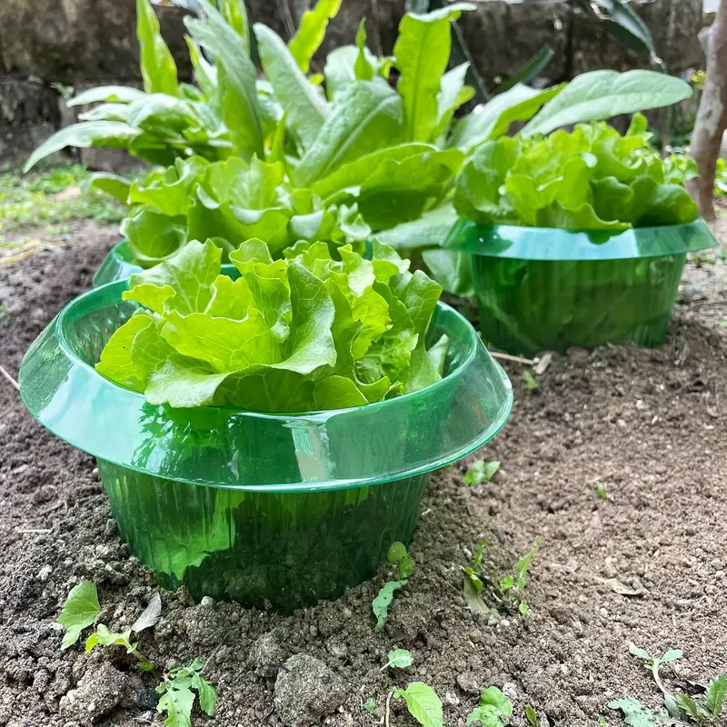Plants Slug Protection Rings V - Vegetable Transplanter recension och pris