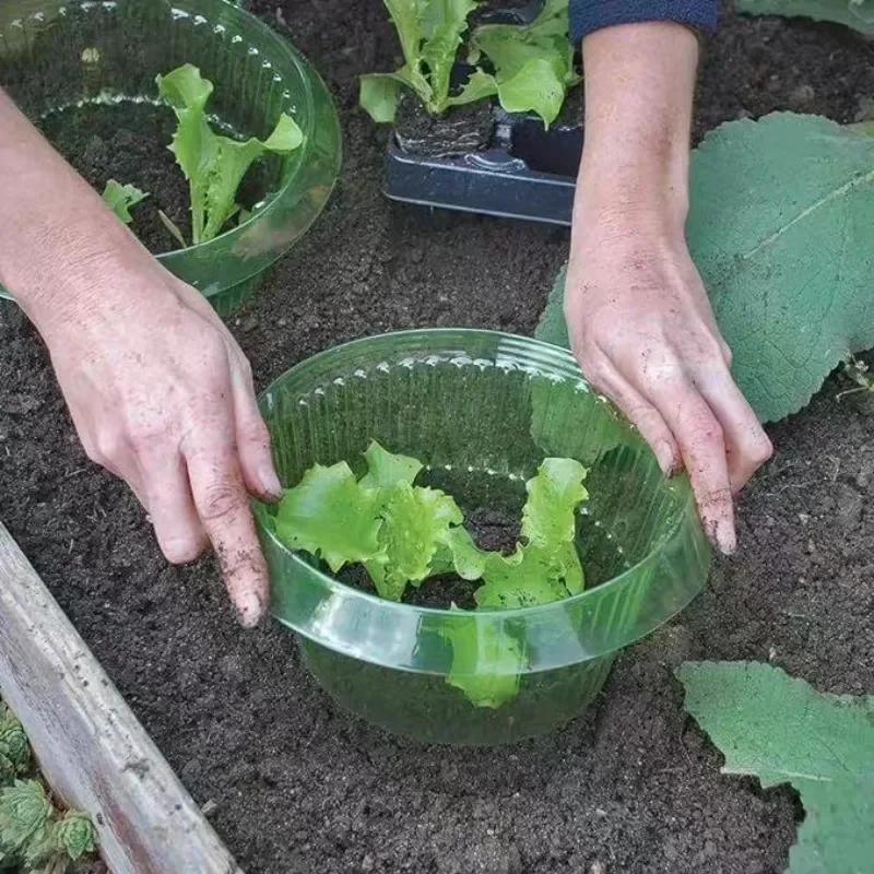Plants Slug Protection Rings V - Vegetable Transplanter recension och pris